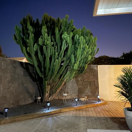 Tahiche Villa Grey By Vulcano Homes מראה חיצוני תמונה