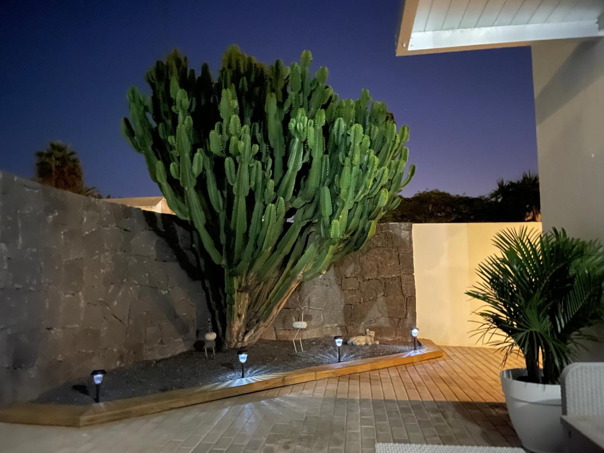 Tahiche Villa Grey By Vulcano Homes מראה חיצוני תמונה